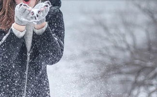 我的校園作文網(wǎng)1000字