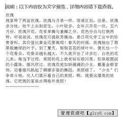 寫校園玫瑰花的作文