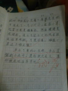 我心中的校園風(fēng)景線作文小學(xué)300