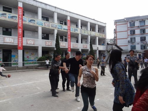 關于對校園生活的向往作文