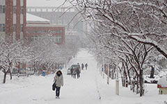 關(guān)于校園冬天作文200字