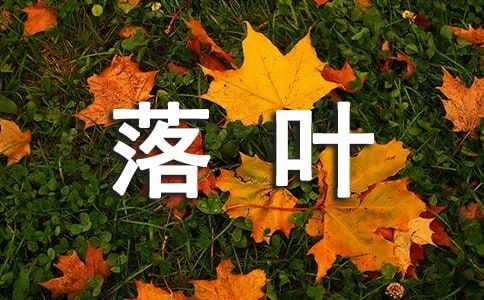 作文秋日漫步校園落葉