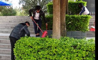 我愛(ài),校園,大全,中學(xué)生作文