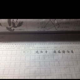 初一作文600字校園