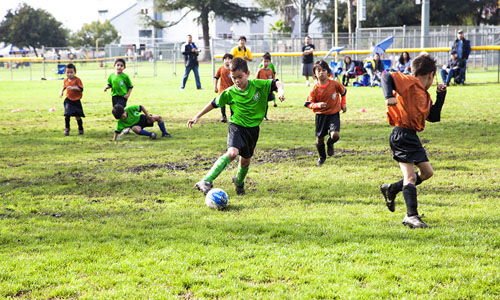 觀(guān)看校園足球比賽作文,觀(guān)看踢足球比賽作文,關(guān)于寫(xiě)校園踢足球的作文