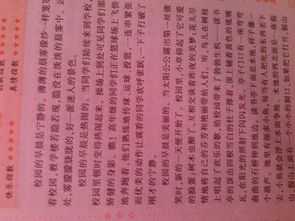 校園比賽的新聞報(bào)道作文500字作文