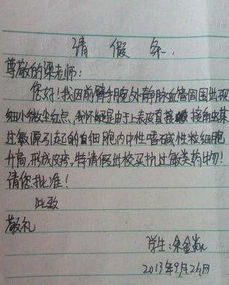 幽默風(fēng)趣關(guān)于校園作文