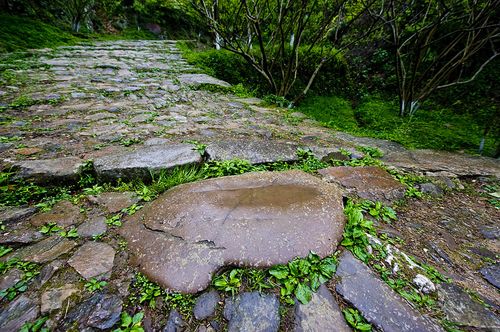 校園生活小作文400字作文