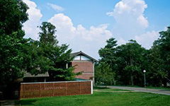 校園一角花壇400字作文分春夏秋冬,校園一角四年級(jí)400字作文花壇,校園一角的作文350字關(guān)于花壇