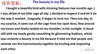 校園消息類作文初二