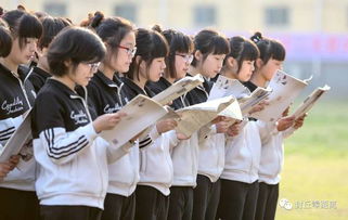 校園門口的早晨作文,校園門口的風(fēng)景作文,熙熙攘攘的校園門口作文