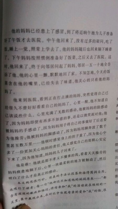 校園成長(zhǎng)師生情作文800字高中作文