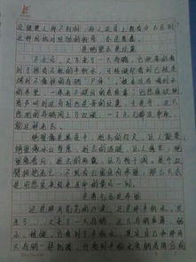 小標(biāo)題式校園的一天作文600字作文
