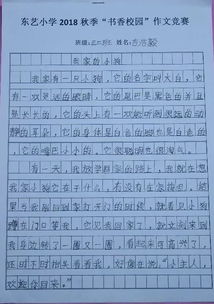 共建書香校園作文小學(xué)三級