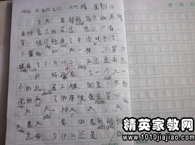 關于校園植物的800字作文