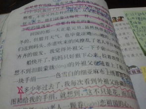 我喜歡春天的校園作文400字,我喜歡校園的操場(chǎng)作文400字,我喜歡的校園活動(dòng)400字作文