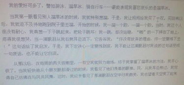 我在校園里的業(yè)余愛好作文1000