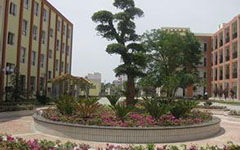 寫(xiě)校園的花壇的景色的作文