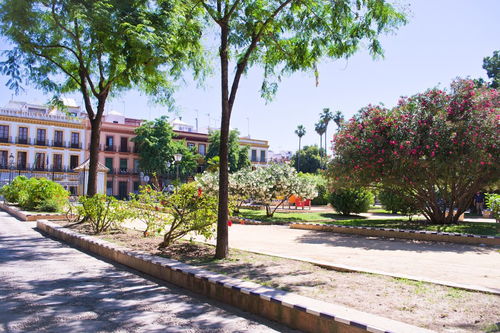 保護(hù)校園環(huán)境400作文600字