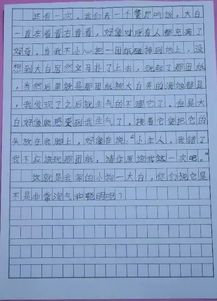 作文,書香,校園,大學
