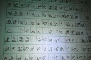 借物抒情描寫(xiě)校園的作文