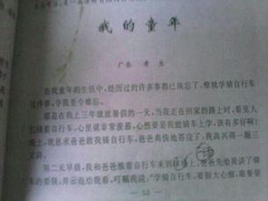 作文,六級(jí),校園,游戲