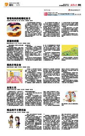 美麗的校園是我的樂園作文