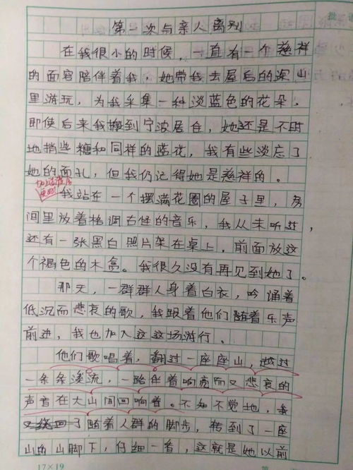 校園的讀書聲小學(xué)生作文