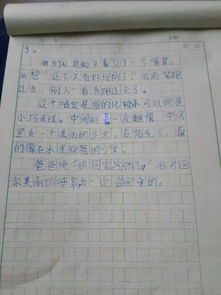 寫(xiě)校園的景物作文400字四級(jí)作文