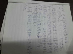 以校園精彩為主題的作文