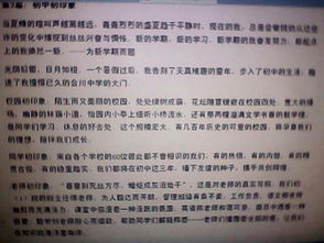 12對(duì)于校園印象的作文