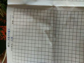 關于校園暴力200字作文