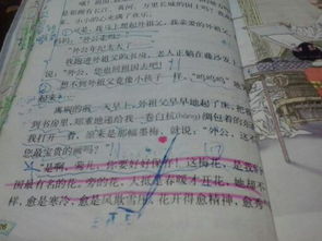 作文,描寫,校園