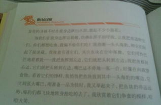 在校園里我的收獲的作文三百字