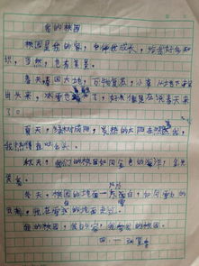 小學生描寫自己性格的作文,小學生校園安全作文,小學生校園種菜作文