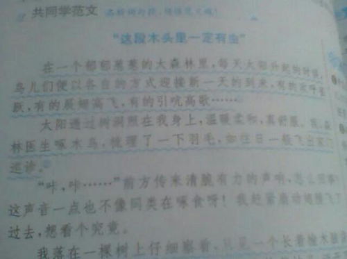 秋天校園作文描寫宏遠(yuǎn)