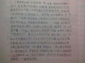 寫初中新的校園作文600字