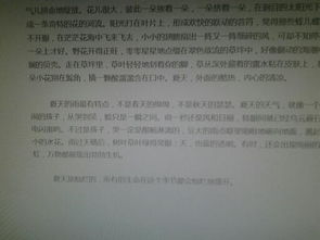 松樹(shù)校園一景作文500字