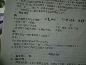 關(guān)于校園首尾呼應(yīng)的作文300字