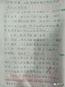 校園就是快樂作文