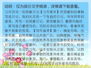 觀察校園作文三級上冊