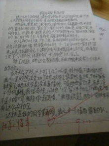 校園生活趣事周記500字作文