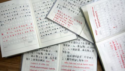 風(fēng)從校園類作文開頭