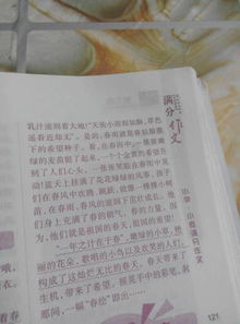 作文,春夏秋冬,描寫,美麗