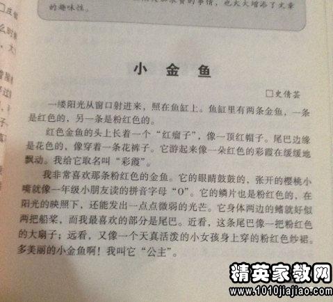 校園的趣事開頭作文500