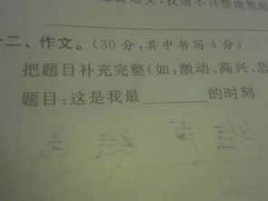 那段校園的時光作文