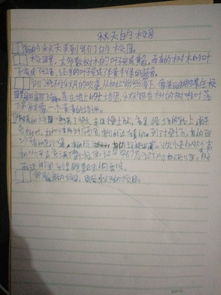 美麗的學校園的作文