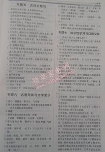 新生活,七級(jí),文新,校園