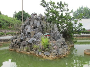 校園的假山水池作文