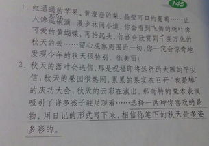 作文,風景區(qū),校園,我心中